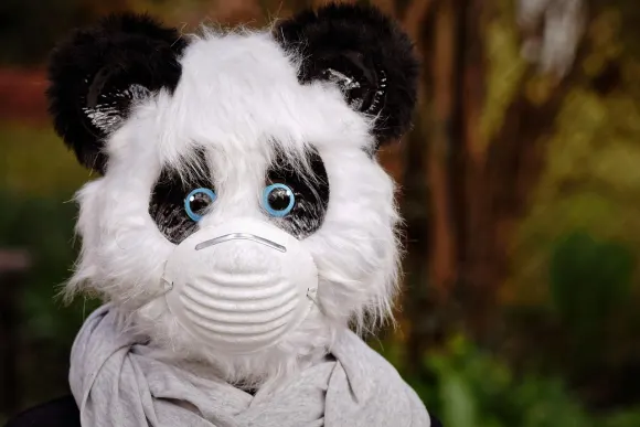 BetOriginal Casino Support